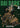 Dai Dark Vol. 2