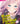 Young Ladies Don't Play Fighting Games Vol. 1