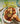 Veracruz All Natural: Fresh Mexican Recipes from Our American Home (a Cookbook)
