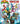 Mighty Morphin Power Rangers/Teenage Mutant Ninja Turtles