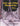 Cats and Other Pleasantries Volumn 1 Catatonic