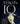 A Bird's IQ: Innovation, Intelligence, and Problem Solving in the Avian World
