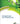 Energy Issues: Four-Volume Set (Issues in Environmental Science and Technology) (1ST ed.)