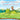 Shannon's Backyard George and George Book Four