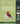 The Backyard Birdsong Guide Eastern and Central North America: A Guide to Listening (Cornell Lab of Ornithology) (2ND ed.)