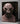 Rick Baker: Metamorphosis: Vol 1: 1950-1989, Vol 2: 1990-2019