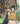 Flying Witch 1
