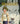 Princess Mononoke Film Comic: All-In-One Edition (Princess Mononoke Film Comic: All-In-One Edition #3)