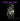 Kiss the Sky: Jimi Hendrix 1942-1970