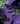Anime Studies: Media-Specific Approaches to Neon Genesis Evangelion