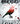 Thornbird