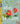 Atlas of Botany: An Exploration of Plants Across Time and Around the World