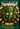 Tezcalcelotl: The artifacts call