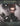 Mechanizoid: Volume 4: An AI Infused Pictorial Art Experiment By Ted Ryback