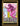 Myth Trial: Volume One