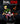 Dual Edge: From Tragedy