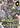 OverZenith Volume 4 Battle for Survival