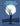 Whisper of love under the moonlight